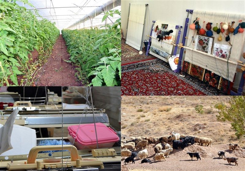 فعالیت ۱۷ گروه همیار زنان سرپرست خانوار در قزوین فعالیت ۱۷ گروه همیار زنان سرپرست خانوار در قزوین