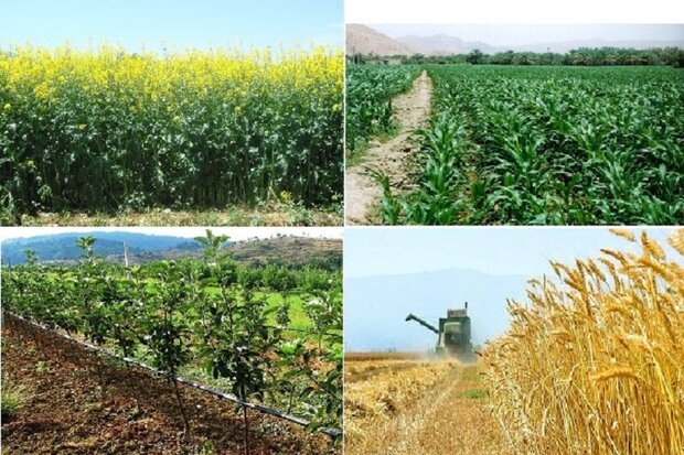 کالاهای اساسی و نهاده های کشاورزی در استان دربهترین حالت ممکن است کالاهای اساسی و نهاده های کشاورزی در استان دربهترین حالت ممکن است