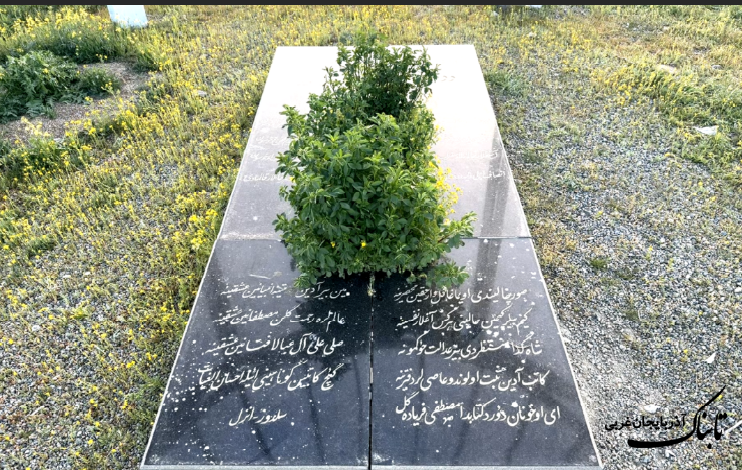مزار بزرگترین شاعر آذربایجان غربی یونجه‌زار شد!/ میراث فرهنگی یا اداره ارشاد، متولی کیست؟