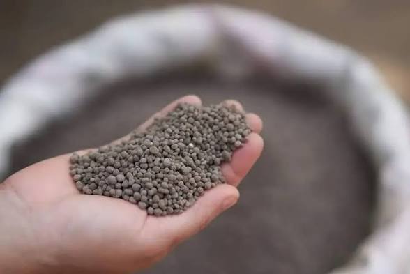 بحران پنهان در مزارع شمال‌غرب؛ اوضاع تأمین و توزیع کود شیمیایی در آذربایجان غربی