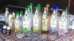 نمایشگاه دستاورد‌های مشاغل خانگی بخش کشاورزی