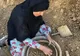 آئین کهن «چارو» در فهرست رویدادهای گردشگری هرمزگان ثبت شد