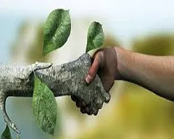 دستگیری ۵۷ متخلف شکار وصید در استان اصفهان