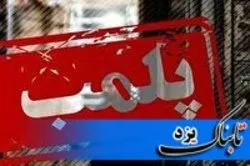 پلمب، سزای اختفای سارق در مهمانپذیر