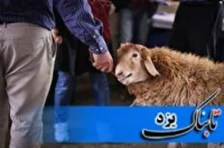 ممنوعیت ذبح دام در معابر عمومی یزد