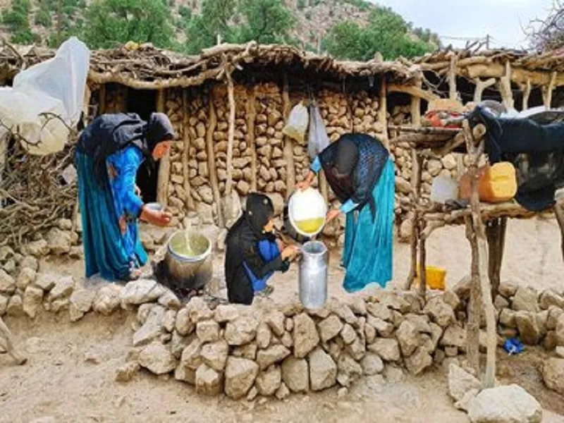 تولید سالانه ٩٠٠ تن «روغن حیوانی» توسط عشایر کرمانشاه