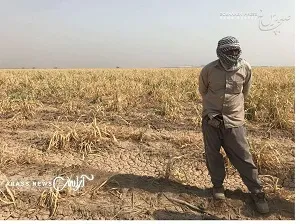 در بحران آب ، مزارع نیشکر بیشترین خسارت را متحمل شدند / راضی به بیکاری حتی یک نفر در نیشکر نیستیم اما شرایط بسیار دشوار است
