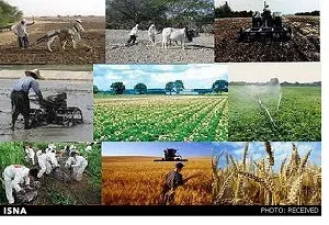 بیش از 81 هزار خانوار در استان تحت پوشش بیمه اجتماعی روستاییان هستند
