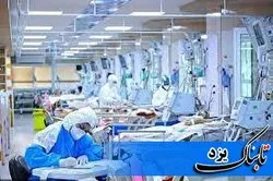 ثابت شدن آمار بیماران بدحال بستری در بخش مراقبت‌های ویژه یزد