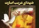شهدای غریب در اسارت خوزستانی شناسایی شدند