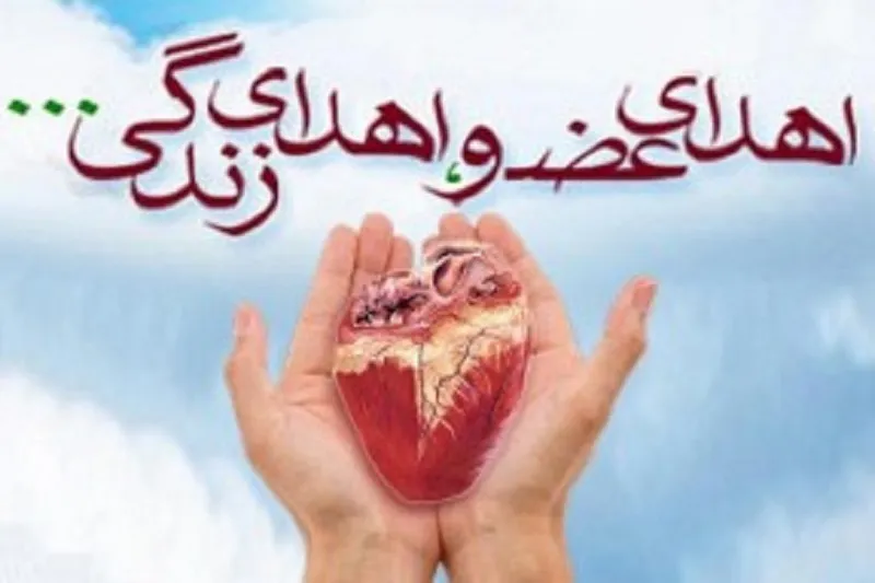کودک خردسال مرگ مغزی به سه بیمار زندگی دوباره بخشید
