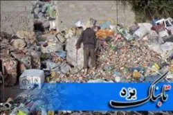 رشد قارچ گونه ضایعات فروشی‌ها در یزد