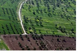 پیش‌بینی کشت پاییزه در حدود 200 هزار هکتار از اراضی طرح رهبری