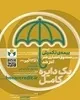 نام نویسی بیمه درمان تکمیلی، عمر و حوادث اهالی فرهنگ، هنر و رسانه آغاز شد