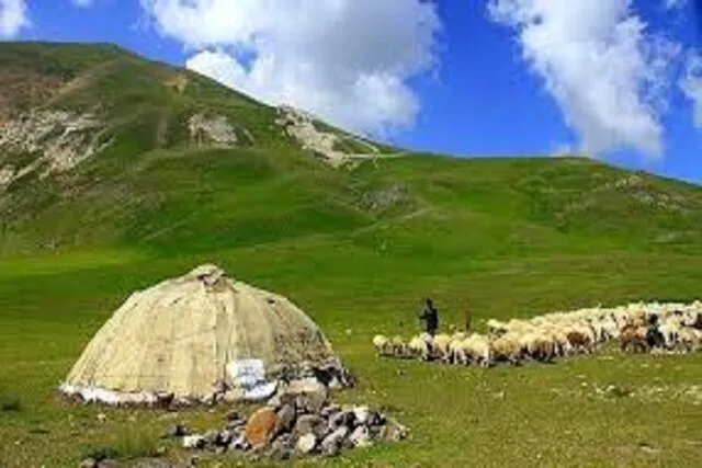 تأمین ماشین آلات بخش عشایری خراسان جنوبی/ آبرسانی به ۱۱۵ روستا تا پایان امسال
