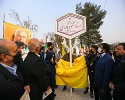 یادبود 