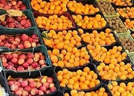خرید و توزیع ۱۶۰۰ تن میوه تنظیم بازار در کرمانشاه