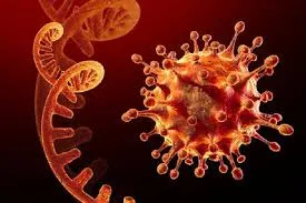 آماده باش کمیته های قرارگاه کرونا در خراسان رضوی به منظور مقابله با امیکرون