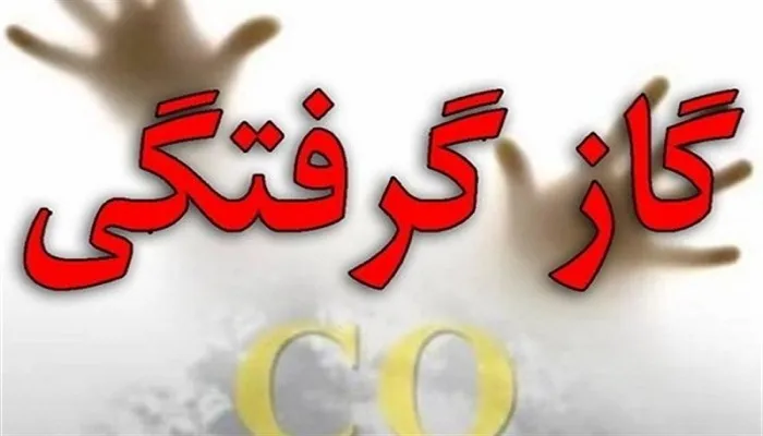 گاز گرفتگی ۶ عضو یک خانواده در سنقروکلیایی را راهی بیمارستان کرد