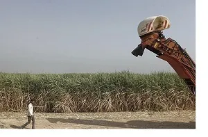 معیشت 100 هزار خوزستانی در گرو تامین حق‌آبه اراضی نیشکر