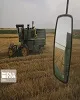 خرید تضمینی گندم و کلزا در خوزستان به ۴۶۷ هزار تن رسید