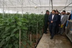 ضرورت حمایت همه جانبه از سرمایه‌گذاران استان