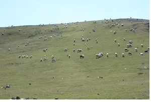 ۳۵میلیارد ریال اعتبار برای احیای مراتع خوزستان اختصاص یافت