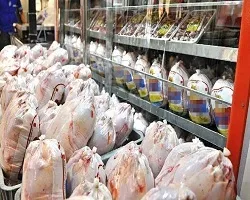 مازاد گوشت مرغ در اصفهان