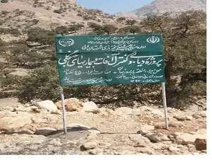 مبارزه با بیماری ذغالی بلوط در جنگل های بلوط لالی انجام شد