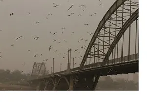 غلظت گردوخاک در12 شهر خوزستان بیش از حد مجاز است