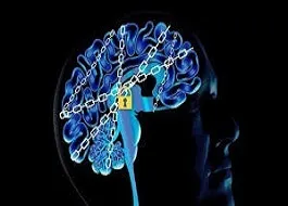 بی مُخ زایی چیست؟!