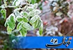 سامانه‌ای برای جلوگیری از سرمازدگی محصولات کشاورزی
