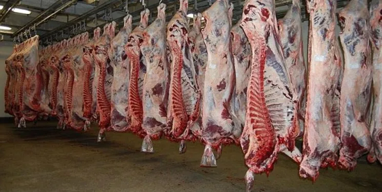 بهره‌برداری از نخستین کشتارگاه صنعتی بوشهر تا پایان سال