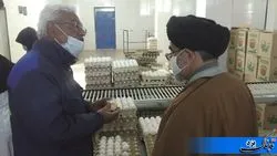 روزانه ۳۰ تن گوشت مرغ و تخم مرغ در ابرکوه یزد تولید می‌شود