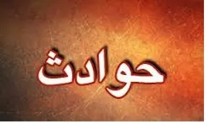 5 مصدوم حاصل سرعت غیرمجاز و واژگونی پژو