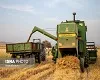 رکورد تاریخی خرید گندم در خوزستان/ پرداخت بیش از ۱۶ هزار میلیارد تومان