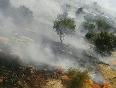 آتش سوزی ارتفاعات کوه دلا در شهرستان اندیکا مهار شد