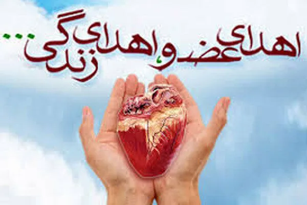 اهدای عضو به 4 بیمار زندگی دوباره بخشید