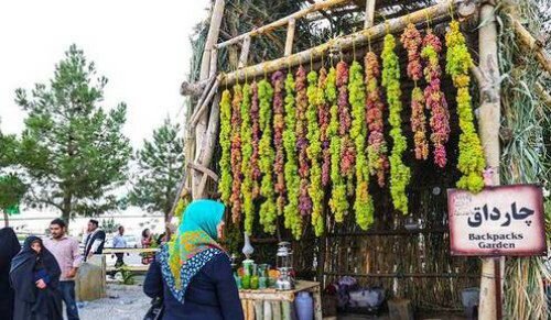 عطر خوش خوشه‌های زرین در دیار «چی‌چست»؛ شور جشنواره ملی انگور ارومیه و گره کور مسیر‌های دسترسی