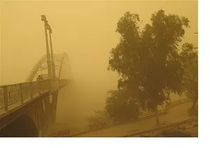 نهال‌کاری حداقل 5 سال دیگر در وضعیت گرد و غبار خوزستان تغییر ایجاد می‌کند