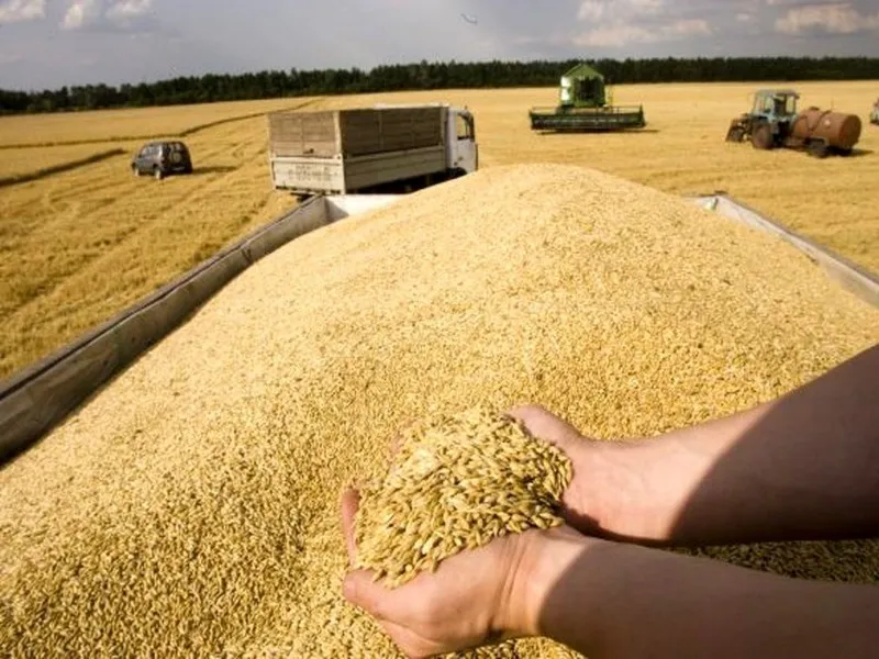 اصلاح قیمت خرید تضمینی گندم از اثرگذارترین قوانین مجلس است