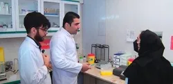 افزایش تولید گوشت با اصلاح نژاد دام در اصفهان