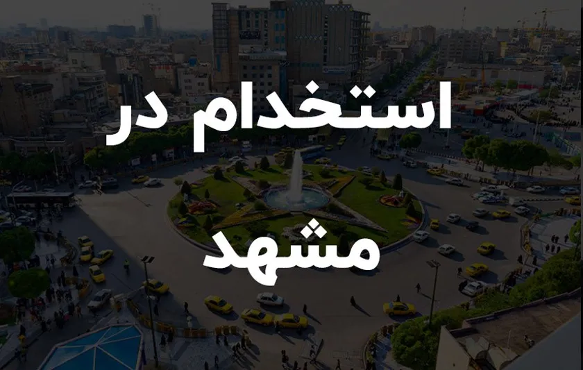 چگونه برای این فرصت‌های شغلی اقدام کنیم؟