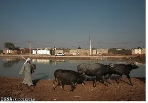 آب و فاضلاب روستایی خوزستان وضعیت خوبی ندارد