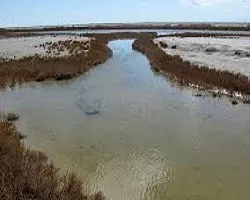 رونق گردشگری شرق اصفهان در گرو اصلاح جاده ورزنه به تالاب گاوخونی