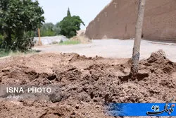 خشت زنی مسئولان شهر جهانی در باغی جهانی