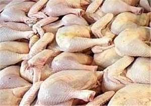 کشف ۲۶ تن مرغ قاچاق در اسلام آبادغرب