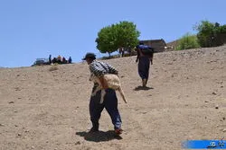 فقدان تشکل مانع استفاده عشایر و روستاییان از حمایت‌های دولت شده است