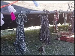 گراب دیشموک میزبان 