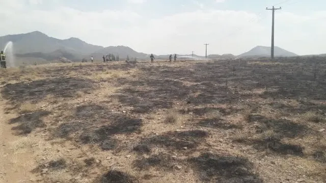 ۲ هکتار از مراتع مجاور روستای هنسیج سرچشمه در آتش سوخت